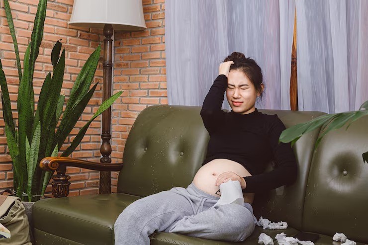 pertengkaran saat hamil, dampak stres saat hamil, konflik rumah tangga kehamilan, janin stres, kesehatan ibu hamil, risiko bertengkar saat hamil, efek emosi ibu hamil terhadap janin, kelahiran prematur akibat stres.